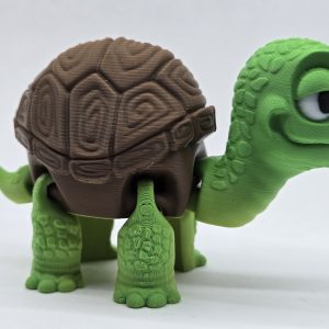 Articulated turtle